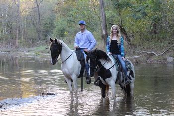 best-horse-riding-trails-nashville | Horseback Riding Nashville