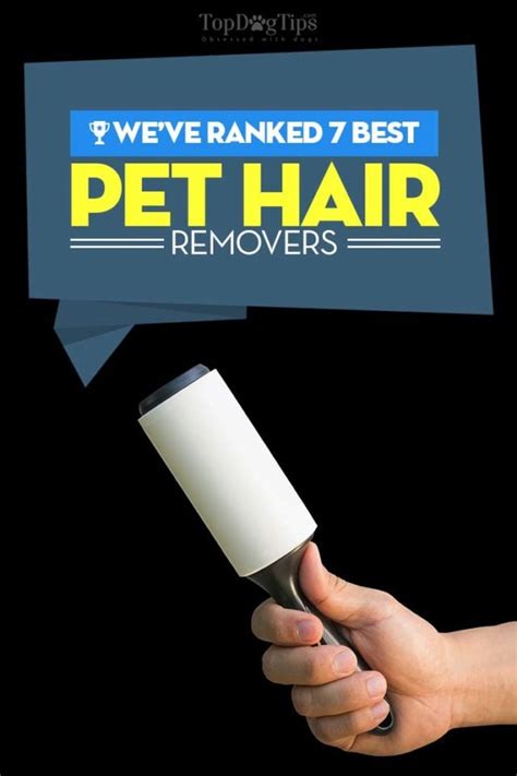 Top 7 Best Dog Hair Remover Tools and Pet Hair Rollers