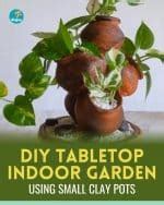 DIY Tabletop Indoor Garden Using Small Clay Pots