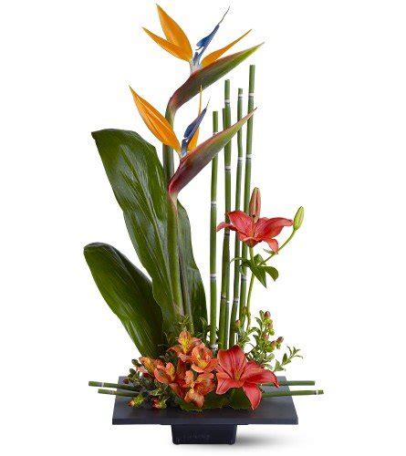 Birds of Paradise Arrangement - Toronto Bulk Flowers - Canada Thornhill