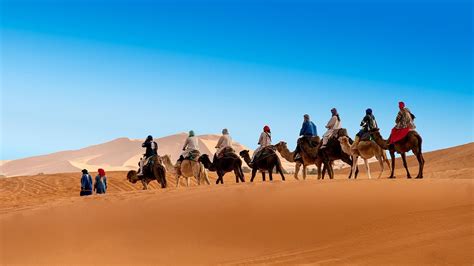 Morocco Camel Trekking - All You Need to Know BEFORE You Go (2024)