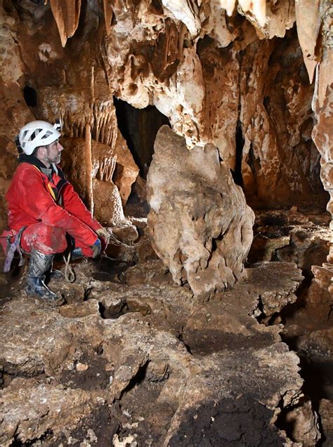 How Bats and Their Poop Erase Ancient Cave Art - The New York Times