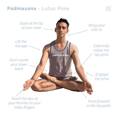 How to do Padmasana (Lotus Pose) - OmStars