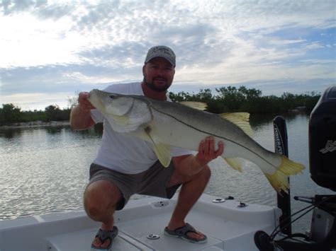 Snook fishing Charlotte Harbor, Florida snook fishing charters