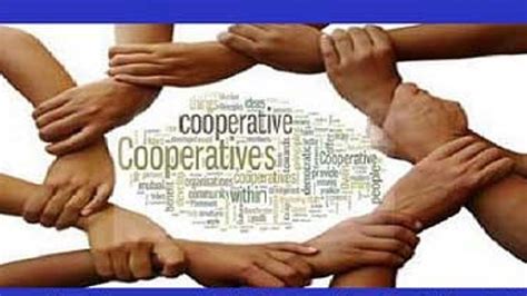 GK Questions and Answers on the Cooperative Movements in India