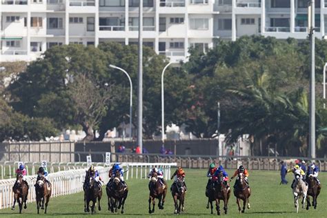 Greyville (South-Africa) Racecourse | Thoroughbred | Races Today ...