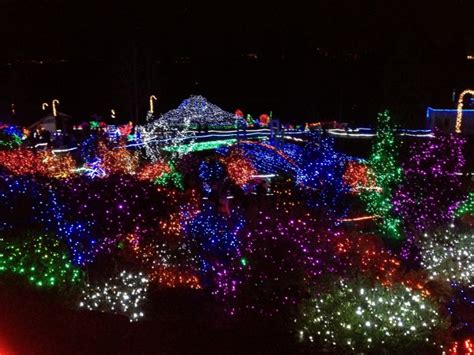 Our American Tale: Point Defiance Zoo Lights