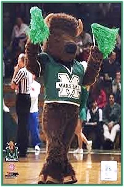 1000+ images about Marshall University on Pinterest | The buffalo ...