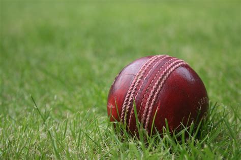 Download Ball Cricket Sports 4k Ultra HD Wallpaper