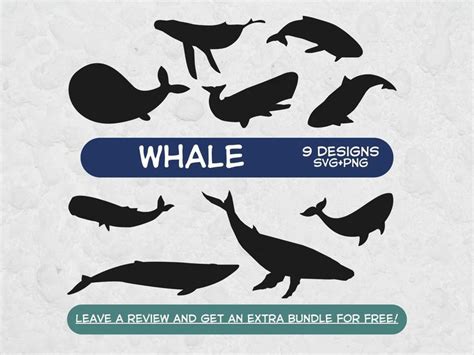 Whale Silhouette Svg, SVG Files for Cricut, Whale Clipart, Whale PNG ...