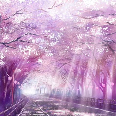 Pink Forest Anime Wallpapers - Wallpaper Cave