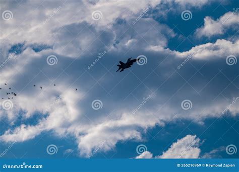 F16 F14 Fighter Jet and Birds Silhouette Against Cloudy Blue Sky Military Plane Stock Image ...