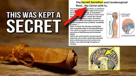 The Sacred Secret - “It Happens to Your Pineal Gland Every 29 ½ Days ...