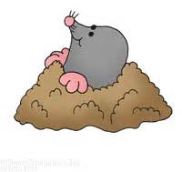 Free Mole Cliparts, Download Free Mole Cliparts png images, Free ClipArts on Clipart Library