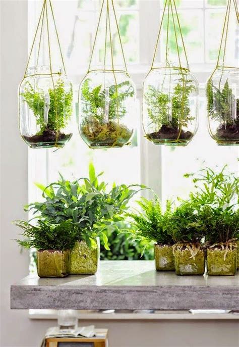 10 DIY Plant Ideas for Fall | Air plants decor, Indoor plants, Hanging air plants