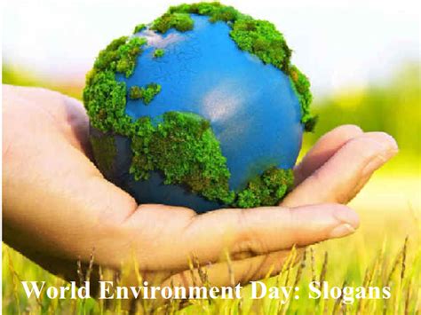 World Environment Day 2021: 29 Best Slogans to spread the awareness