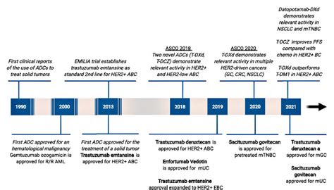 Development of PD-L1 Antibody Drug Conjugates (ADC) | Biopharma PEG