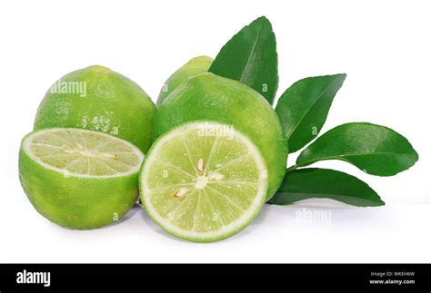 Lime fruit isolated on white background Stock Photo - Alamy