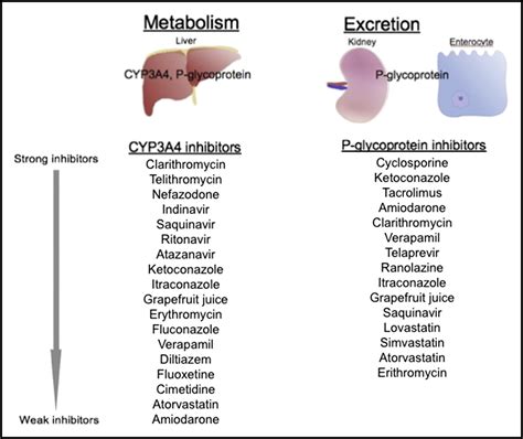 Colchicine: Old and New - The American Journal of Medicine