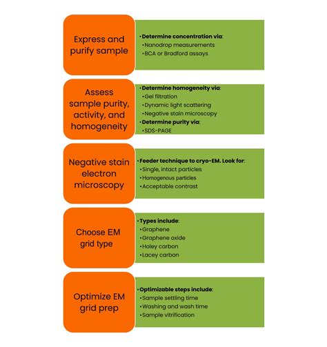 Cryo-EM Sample Prep: 5 Critical Considerations