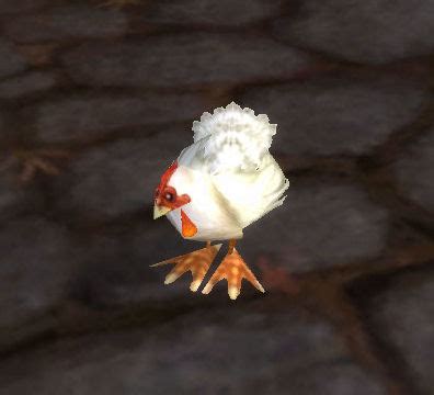 Frightened Chicken - Wowpedia - Your wiki guide to the World of Warcraft