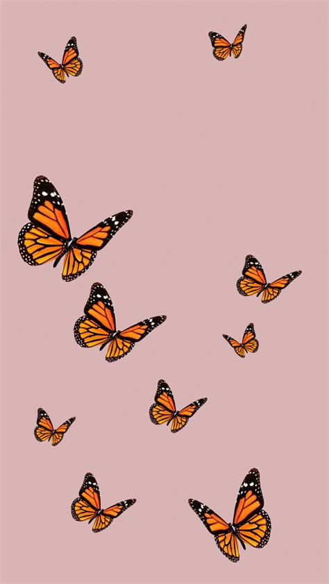 Credit YouTube Cali Kessy | Butterfly wallpaper iphone, Backgrounds ...