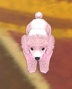 Pink Poodle - Mabinogi World Wiki