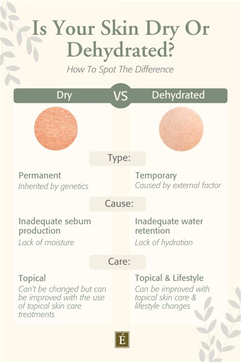 What Is The Cause Of Dehydrated Skin? | Eminence Organic Skin Care