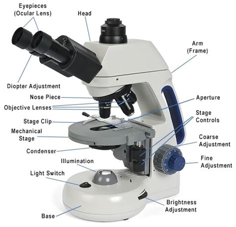 Parts of A Compound Microscope » Microscope Club