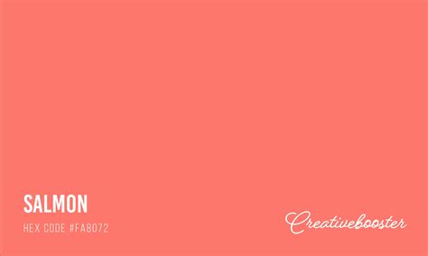 All About Color Salmon (Color Codes, Meaning and Pairings) – CreativeBooster