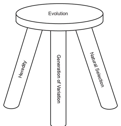 Demystifying Big Data: The Three Legged Stool Of Health Data CNSI | atelier-yuwa.ciao.jp