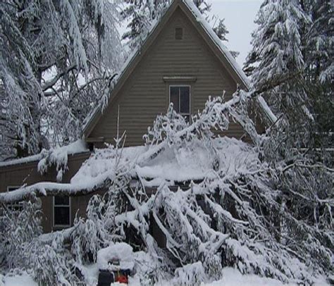 Winter Storm Damage