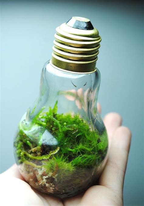 21 Brilliant Ideas On How To Recycle Light Bulbs - Sad To Happy Project