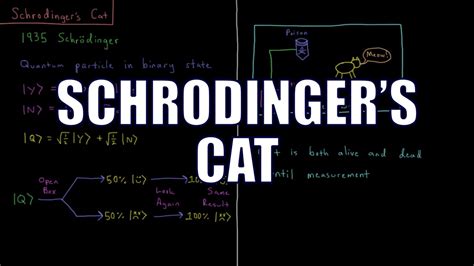 Quantum Chemistry 4.17 - Schrodinger's Cat - YouTube