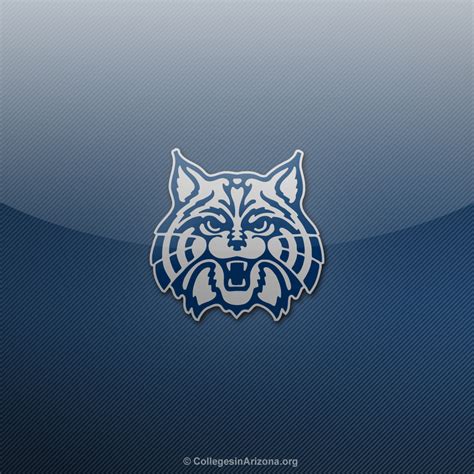 🔥 [49+] Arizona Wildcats Desktop Wallpapers | WallpaperSafari