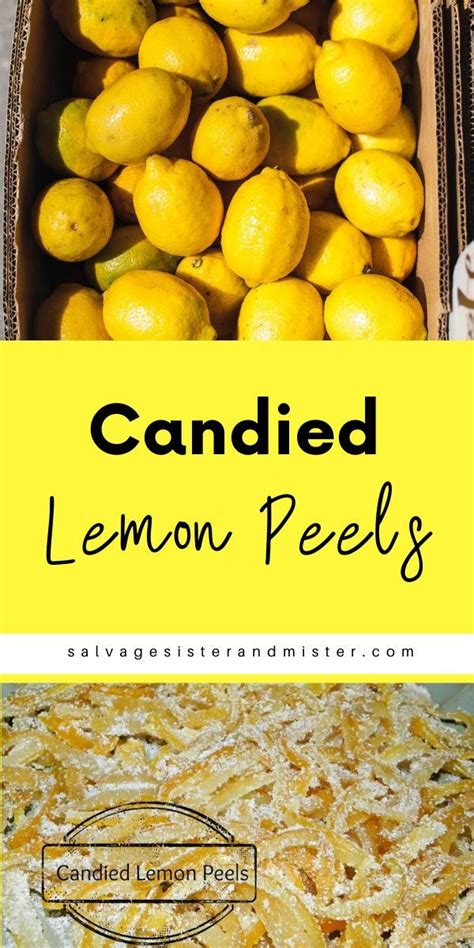 Lemons are good for more than just juice! Use the outside to make this ...