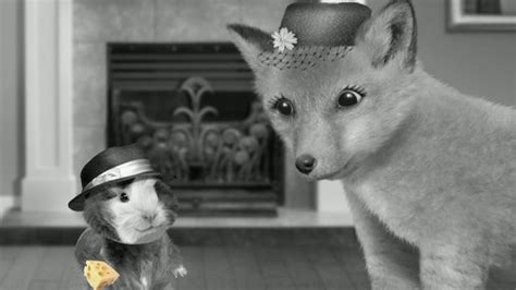 Watch Wonder Pets Season 3 Episode 11: Save the Vixen!/Teach an Old Dog New Tricks! - Full show ...