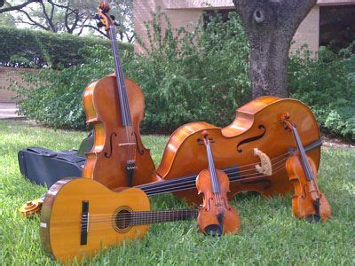 Actual size comparison of the instruments in the string family; violin, viola, cello, bass and ...
