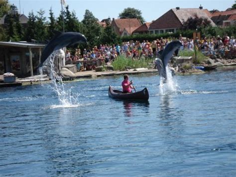 Dolfinarium (Harderwijk) - 2020 All You Need to Know BEFORE You Go (with Photos) - Tripadvisor