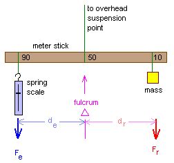 Levers and Torque