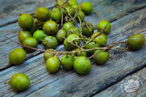 Quenepas, FREE Stock Photo, Image, Picture: Mamoncillos, Spanish Limes ...