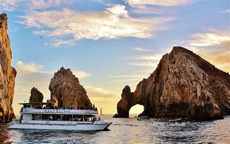 Cabo Dinner Cruise | Wild Cabo Tours