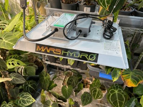 Mars Hydro TS 1000 Review – Full Spectrum Grow Light [2023]