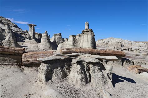 Petrified Wood in de´n Bisti Badlands Foto & Bild | north america, united states, new mexico ...