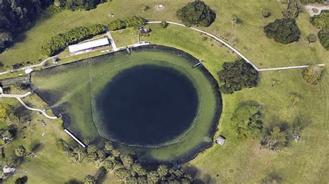 Brains, Bones, and Ponce de Leon: The Strange Story of Florida's Only Natural Hot Spring ...