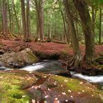 Marquette Waterfalls