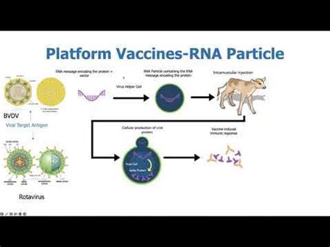 New Vaccine Technologies An Addition to Our Animal Health Toolbox - YouTube