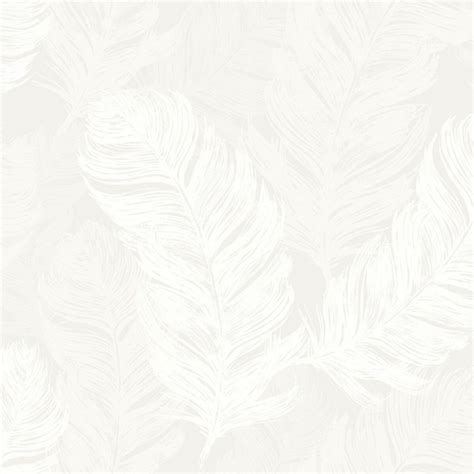 White Feathers Wallpaper