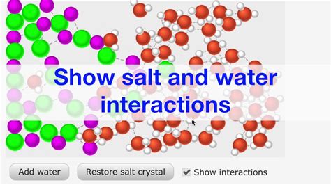 Essential Chemistry - Dissolving Salt in Water - YouTube