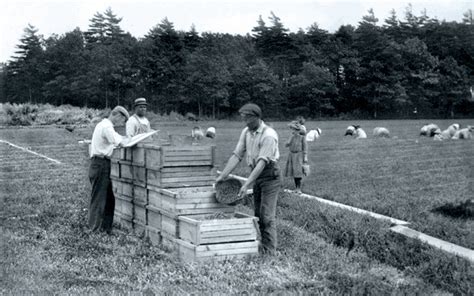 About Cranberries | Cranberry Institute